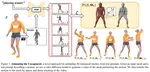 Animating the Uncaptured: Humanoid Mesh Animation with Video Diffusion Models